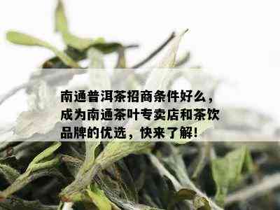 南通普洱茶招商条件好么，成为南通茶叶专卖店和茶饮品牌的优选，快来了解！