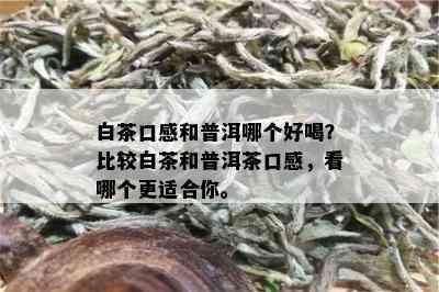 白茶口感和普洱哪个好喝？比较白茶和普洱茶口感，看哪个更适合你。