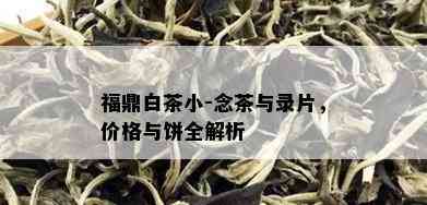 福鼎白茶小-念茶与录片，价格与饼全解析