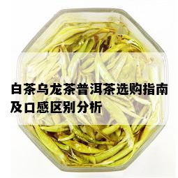 白茶乌龙茶普洱茶选购指南及口感区别分析