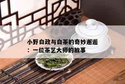 小野白政与白茶的奇妙邂逅：一位茶艺大师的故事