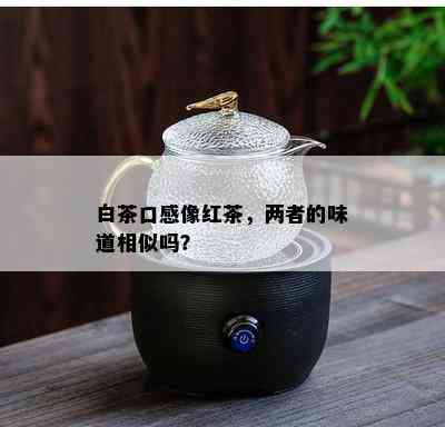 白茶口感像红茶，两者的味道相似吗？