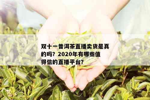 双十一普洱茶直播卖货是真的吗？2020年有哪些值得信的直播平台？