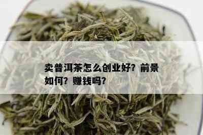 卖普洱茶怎么创业好？前景如何？赚钱吗？