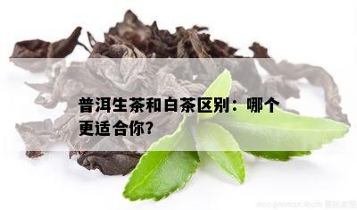 普洱生茶和白茶区别：哪个更适合你？