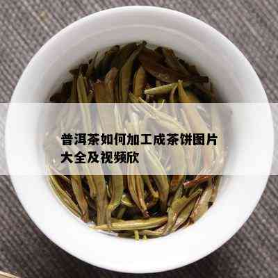 普洱茶如何加工成茶饼图片大全及视频欣