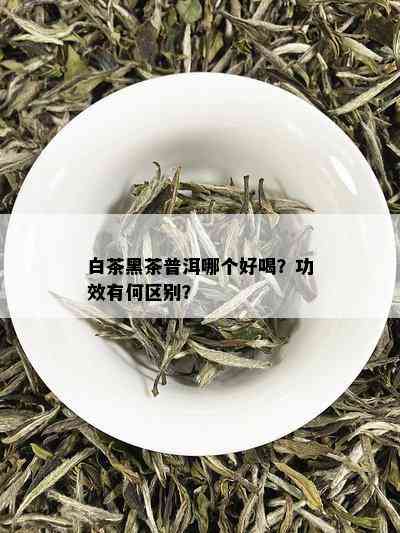 白茶黑茶普洱哪个好喝？功效有何区别？