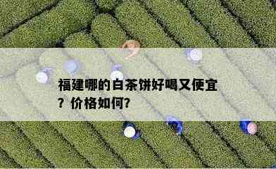 福建哪的白茶饼好喝又便宜？价格如何？