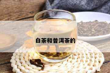 白茶和普洱茶的