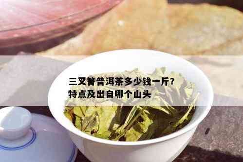 三叉箐普洱茶多少钱一斤？特点及出自哪个山头