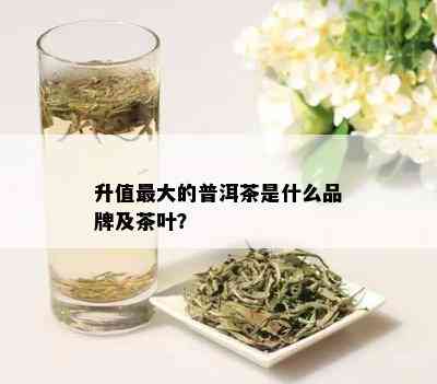 升值更大的普洱茶是什么品牌及茶叶？