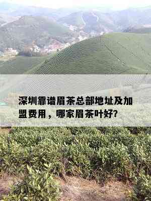 深圳靠谱眉茶总部地址及加盟费用，哪家眉茶叶好？