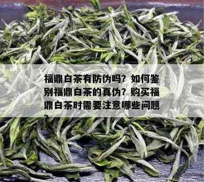 福鼎白茶有防伪吗？如何鉴别福鼎白茶的真伪？购买福鼎白茶时需要注意哪些问题？