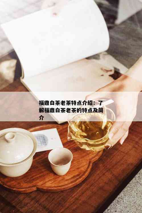 福鼎白茶老茶特点介绍：了解福鼎白茶老茶的特点及简介