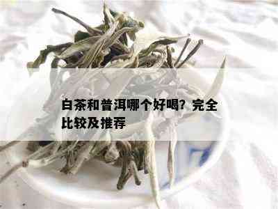 白茶和普洱哪个好喝？完全比较及推荐