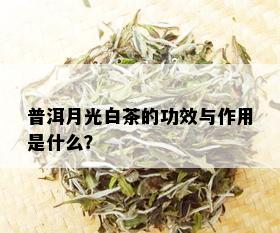 普洱月光白茶的功效与作用是什么？