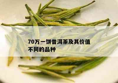 70万一饼普洱茶及其价值不同的品种