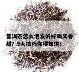 普洱茶怎么泡发的好喝又香甜？5大技巧你得知道！