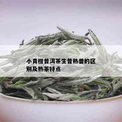 小青柑普洱茶生普熟普的区别及熟茶特点