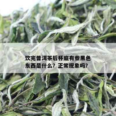 饮完普洱茶后杯底有些黑色东西是什么？正常现象吗？