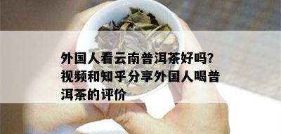 外国人看云南普洱茶好吗？视频和知乎分享外国人喝普洱茶的评价