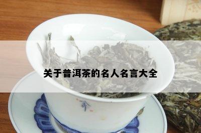 关于普洱茶的名人名言大全