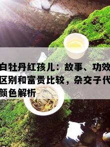 白牡丹红孩儿：故事、功效区别和富贵比较，杂交子代颜色解析