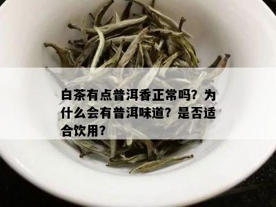 白茶有点普洱香正常吗？为什么会有普洱味道？是否适合饮用？