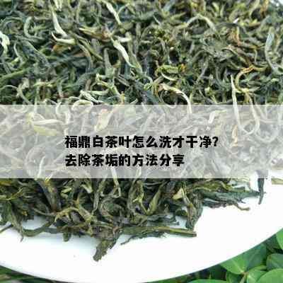 福鼎白茶叶怎么洗才干净？去除茶垢的方法分享