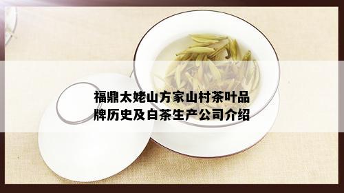 福鼎太姥山方家山村茶叶品牌历史及白茶生产公司介绍