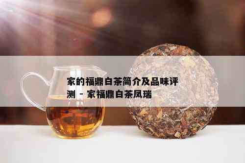 家的福鼎白茶简介及品味评测 - 家福鼎白茶凤瑞