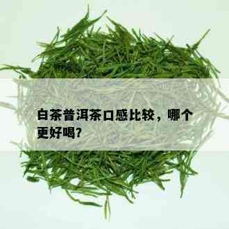 白茶普洱茶口感比较，哪个更好喝？