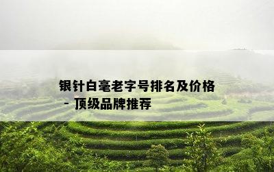 银针白毫老字号排名及价格 - 顶级品牌推荐