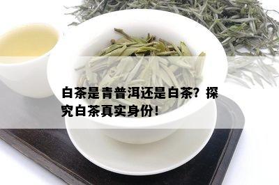 白茶是青普洱还是白茶？探究白茶真实身份！