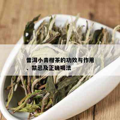 普洱小青柑茶的功效与作用、禁忌及正确喝法