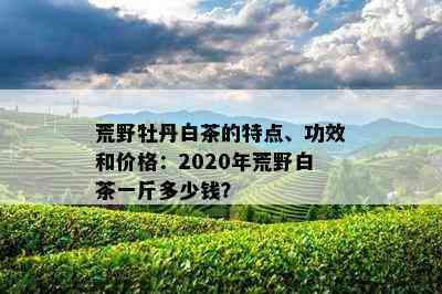 荒野牡丹白茶的特点、功效和价格：2020年荒野白茶一斤多少钱？