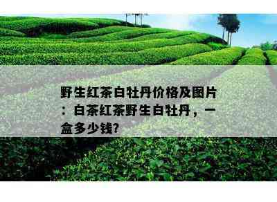 野生红茶白牡丹价格及图片：白茶红茶野生白牡丹，一盒多少钱？