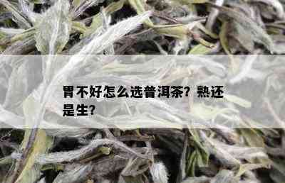 胃不好怎么选普洱茶？熟还是生？