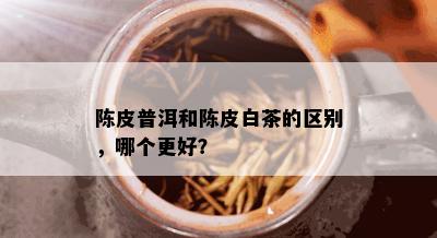 陈皮普洱和陈皮白茶的区别，哪个更好？