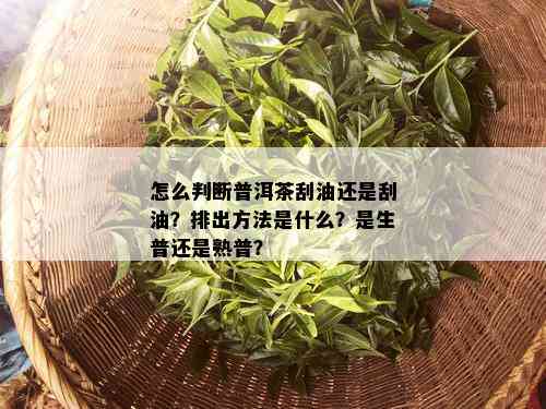 怎么判断普洱茶刮油还是刮油？排出方法是什么？是生普还是熟普？