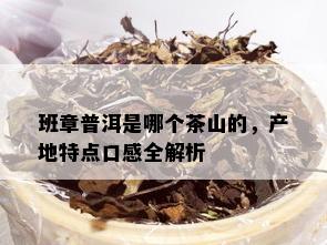 班章普洱是哪个茶山的，产地特点口感全解析