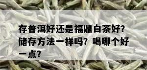 存普洱好还是福鼎白茶好？储存方法一样吗？喝哪个好一点？