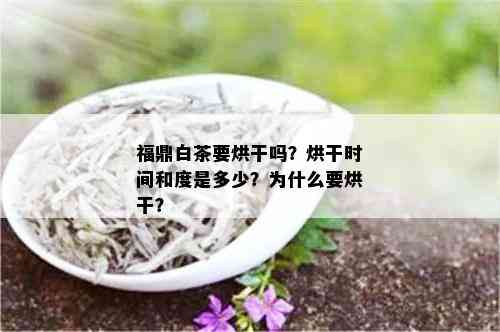 福鼎白茶要烘干吗？烘干时间和度是多少？为什么要烘干？