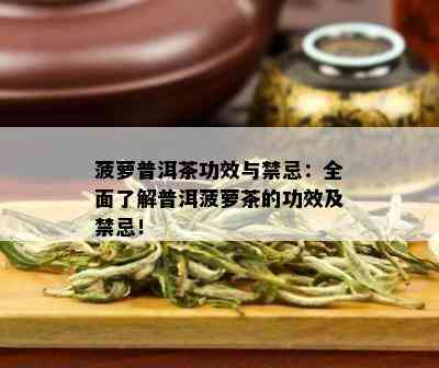 菠萝普洱茶功效与禁忌：全面了解普洱菠萝茶的功效及禁忌！