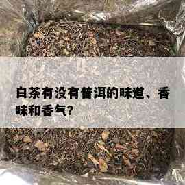 白茶有没有普洱的味道、香味和香气？