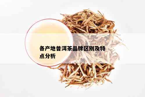 各产地普洱茶品牌区别及特点分析