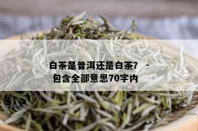 白茶是普洱还是白茶？ - 包含全部意思70字内