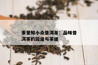 茶觉知小众普洱茶：品味普洱茶的园道与茶道