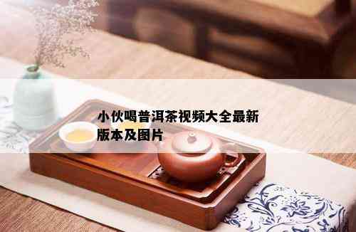 小伙喝普洱茶视频大全最新版本及图片