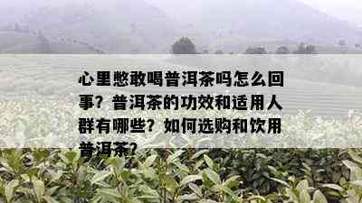 心里憋敢喝普洱茶吗怎么回事？普洱茶的功效和适用人群有哪些？如何选购和饮用普洱茶？